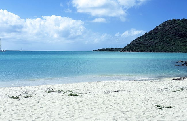 Harbour Island Residences - Photo 18