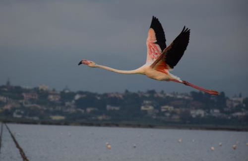 Poetto Casa Bach Ck - Foto 33