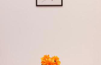 Il Vicolo sul Lago - Foto 23