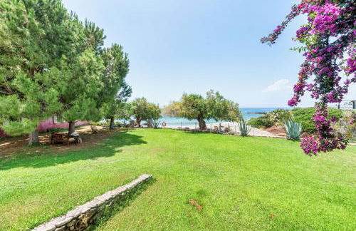 Malsova Studio - Foto 29