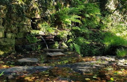 Molino de Yera - Foto 62