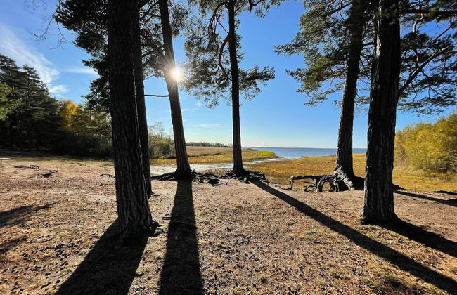 4 Person Holiday Home in Svartinge - Foto 13