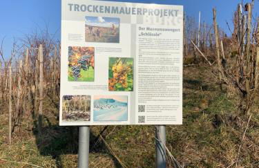 "Unter der Yburg" in 71394 Kernen - Stetten - Foto 29