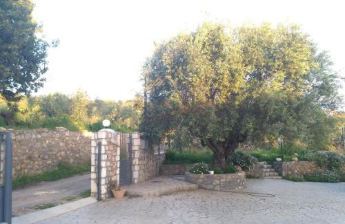 Afrodite's house - Photo 56