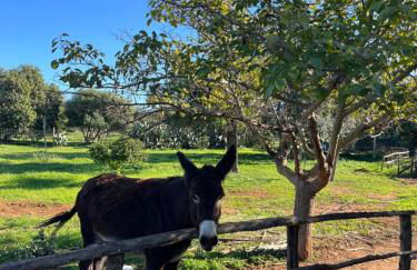 La Casa del Carrubo con Piscina condivisa in campagna vicino al mare - Canestanco 18 - Foto 60