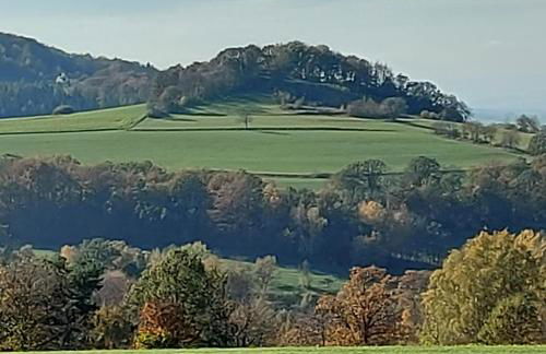 Ferienwohnungen Lahmenhof - Foto 31