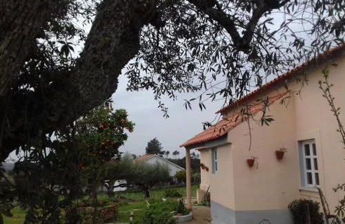 Linhal das Meias - São José das Matas - Foto 30