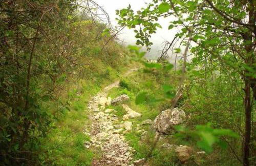 Casa rural “Ca Robert” - Foto 37