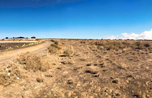 Apartment Alegranza in the beautiful Village of Mozaga, Lanzarote - Foto 63