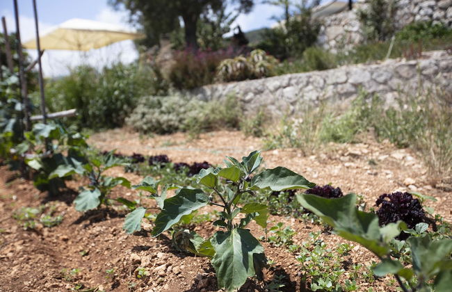 Anemos Studio - Foto 34