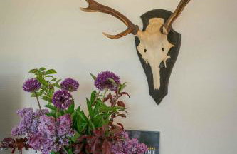 Altes Forsthaus - Ferienwohnung im Obergeschoss - Foto 28