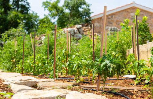 Stone Mill House - Foto 30