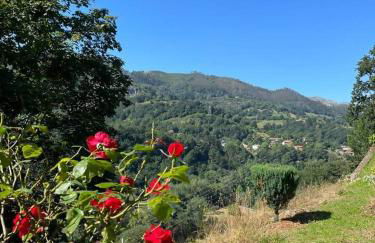 CASA IRIS, tranquilidad a 5' de Cangas de Onís - Foto 25