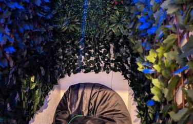 Goethes Haus - Foto 62