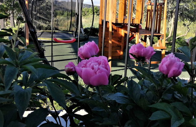 Villa Manda Korina - Foto 65