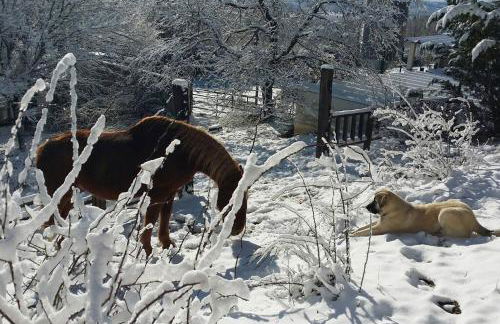 Via Fera, con vistas a la naturaleza - Foto 25