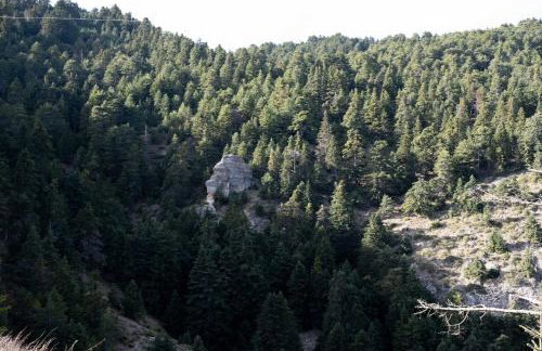 Litheon House - Photo 40