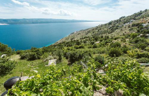 Apartment Kuzmanić - Foto 19