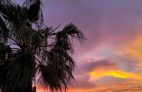 Marios House - Photo 31