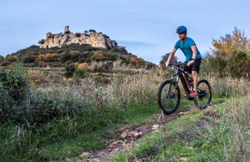 Gite Esprit Colibri - Foto 18