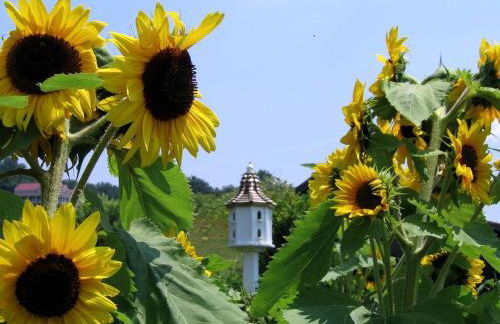 Lovely Cottage on Farm near Shenandoah National Park, Virginia - Foto 21