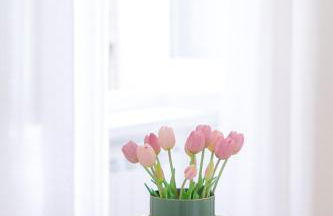 Dietro l'angolo - Appartamenti in Montefalco - Foto 16