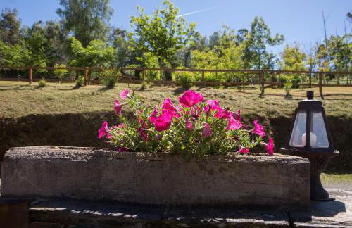 Casa Piñeiro - Foto 24