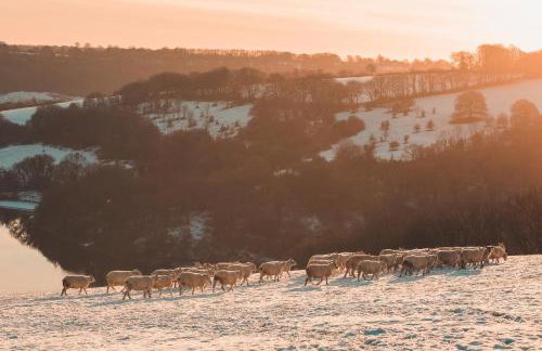 Little House in the Big Woods Brendon Hill - Photo 16