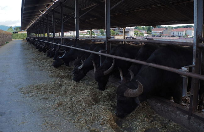 Home Close to the sea With Terrace and Free Parking - Foto 23