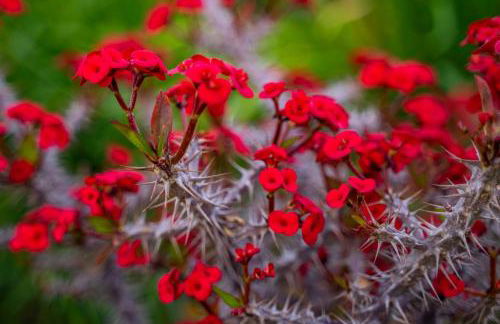 Istia Luxury Villas - Photo 116