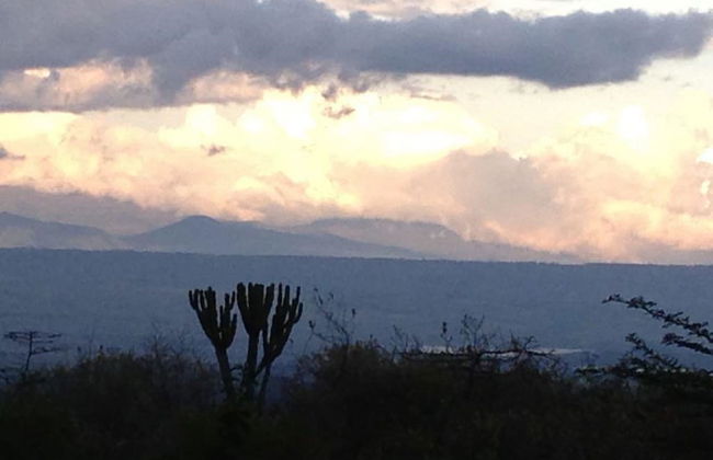 Marula House - Foto 19