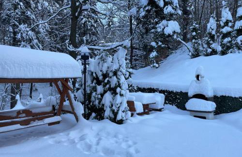 Apartament Kurort Kozubnik - Taras nad Potokiem - Foto 12