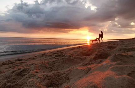 Ferienhaus Laura 70qm bis 5 Gäste mit Fass-Sauna, Whirlpool April bis Oktober, 75qm Terrasse und eingezäunten Garten Haustiere willkommen - Photo 60