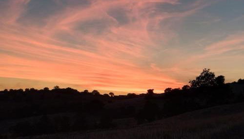 CASAL DEL SOLE - Il Gelso - Foto 3