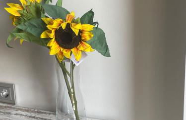 Apartamento CENTRO con Garaje incluido - Foto 22