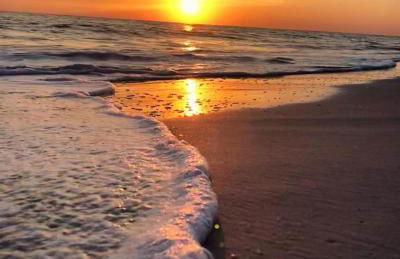 An Island Getaway at Palm Tree Villas - Photo 46