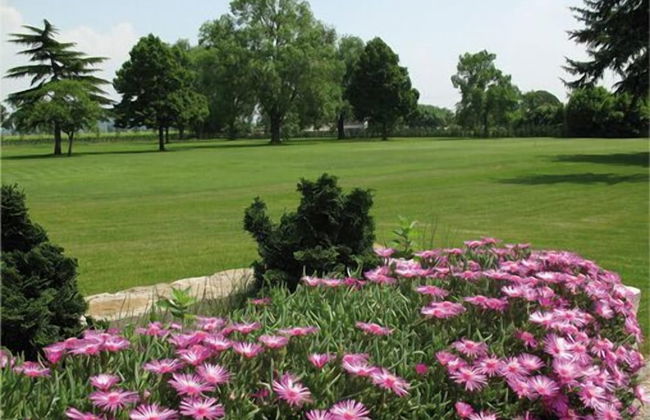 Villa Chiopris - Foto 20