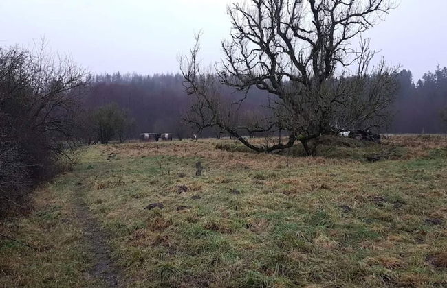 4 Person Holiday Home in Ans By - Foto 15