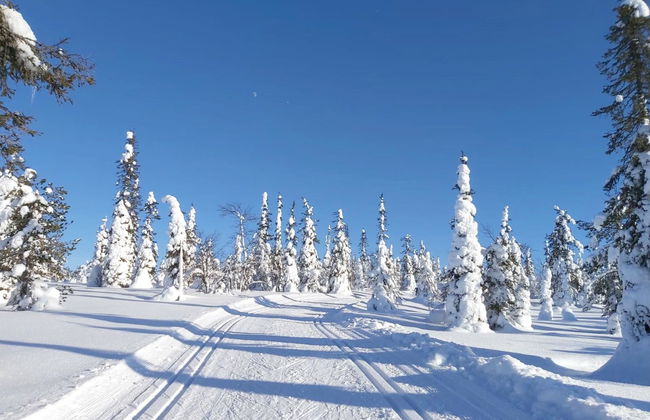 Örtsylä b - Foto 26