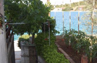 Apartments by the sea Luka - Dugi otok - 441 - Photo 7