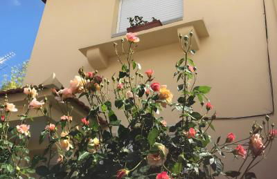 Casa do Bairro - Foto 1