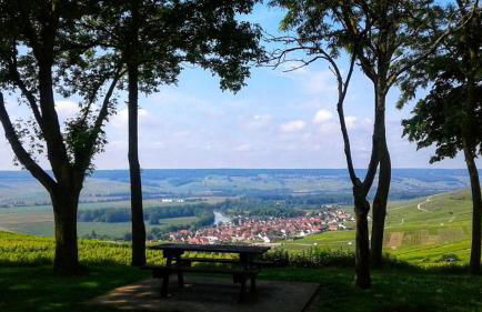 Altavilloise Pétillante - Foto 11