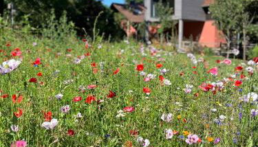 Ferienloft Libela Straupitz im Spreewald - Foto 2, Garden view