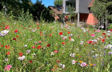 Ferienloft Libela Straupitz im Spreewald - Foto 2