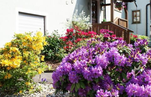 Pension Hessenmühle - Foto 27