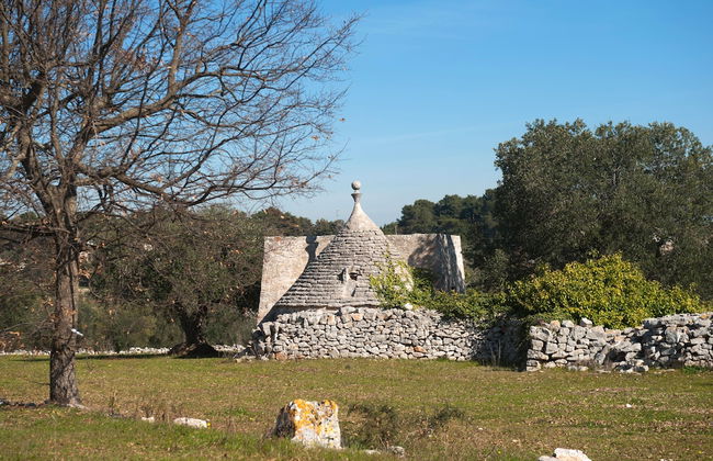 Agriturismo Masseria Calongo - Foto 53