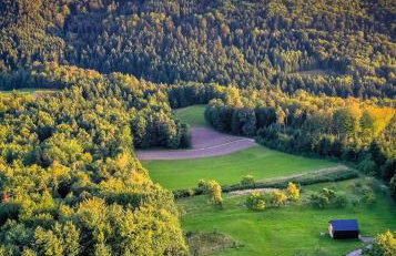 Czas i Las Glamping - Foto 2