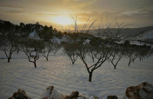 Mas de Pau - Boutique Apartments - Foto 59