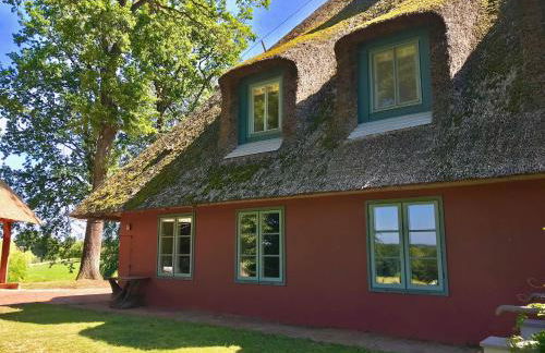 Ferienwohnung Unter Reet in Grebin - Foto 11