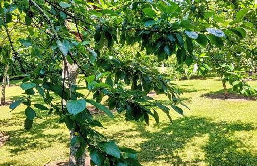 Apartment An der Eine-3 by Interhome - Foto 23